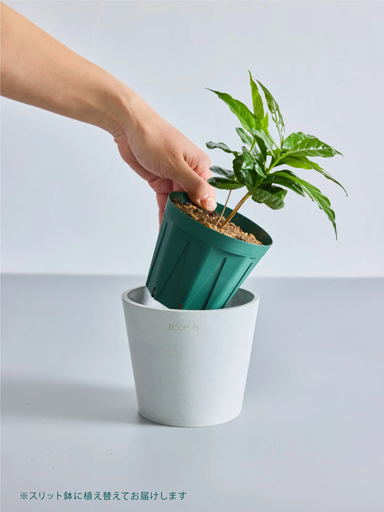 Product image 23